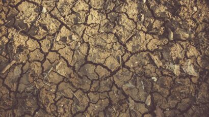Close-up of cracked, arid soil showing detailed textures and patterns, indicative of drought conditions.
